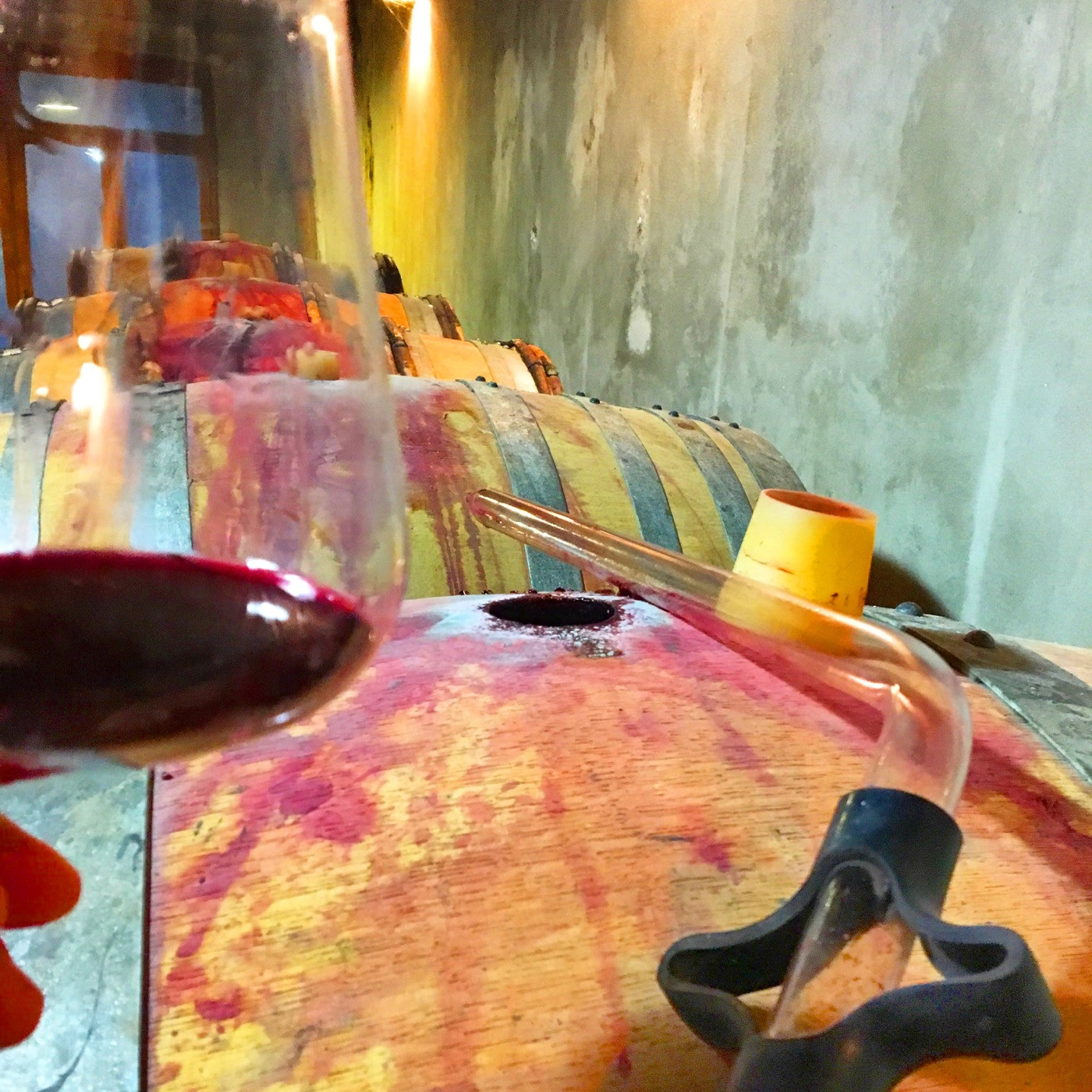 While making our proper wine of the Domain: Hocus Pocus. We love wine making and testing.