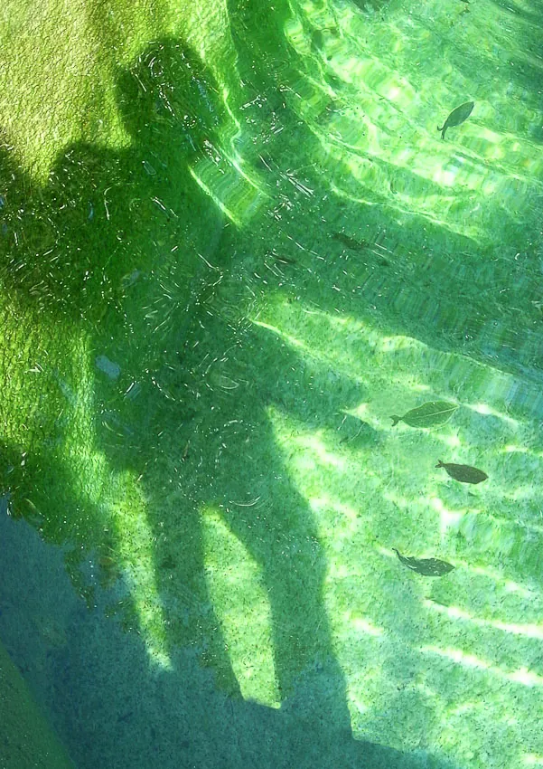 Portrait of Guy Hervais