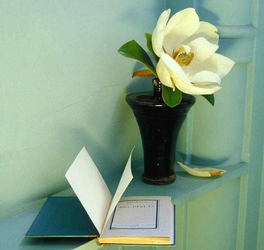 Interior photography capturing romantic and stylish atmosphere