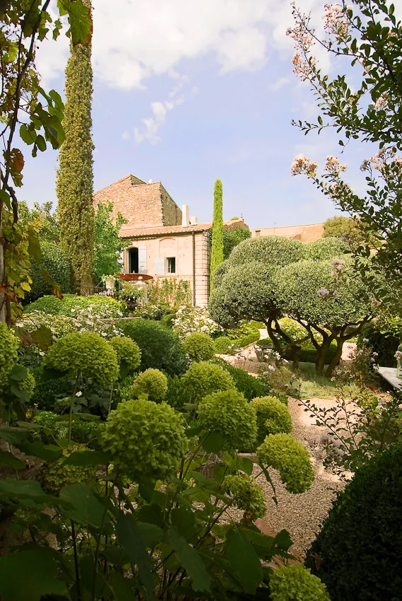 Garden with lavender and lemon trees in Provence