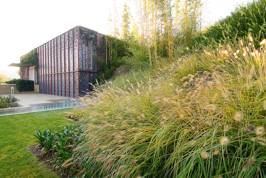 Elegant plant palette with natural plants and sophisticated garden structure