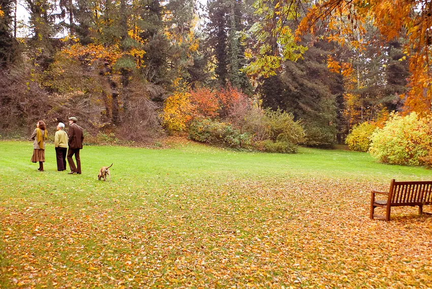 Garden inspired by masters of art and design