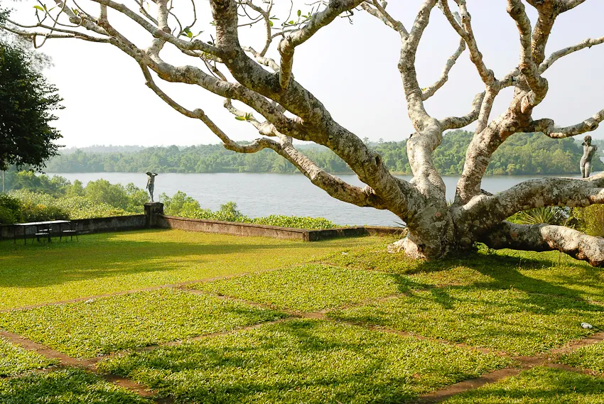 Garden design showing the relationship between vegetation and architecture