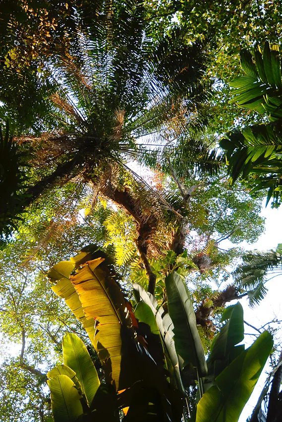 Garden design by Geoffrey Bawa where outside is inside and inside is outside