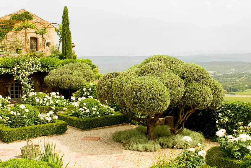 Private garden with unique character and style