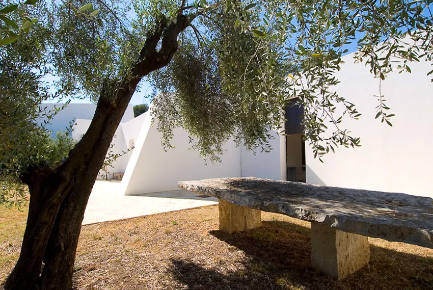 Garden with natural plants and balanced color palette