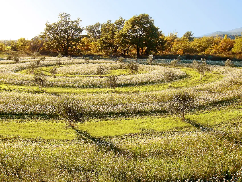 The gardens of Le Pavillon de Galon showing the blue and green color palette