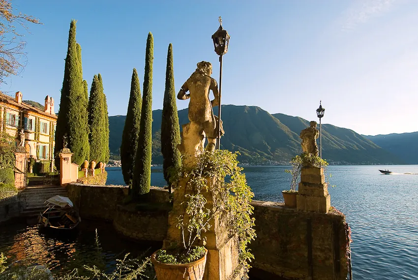 Garden showing the ephemeral beauty captured in photography