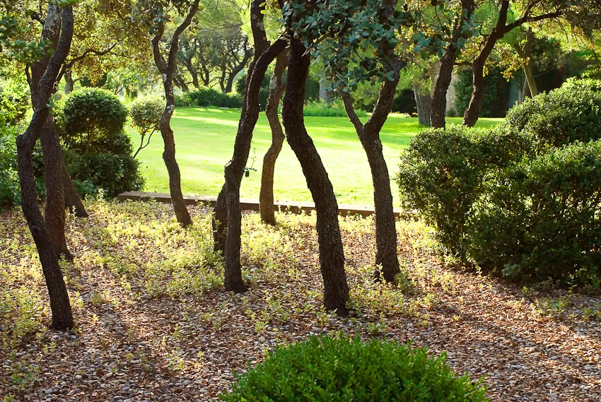 Garden with plants and water features creating a sublime experience