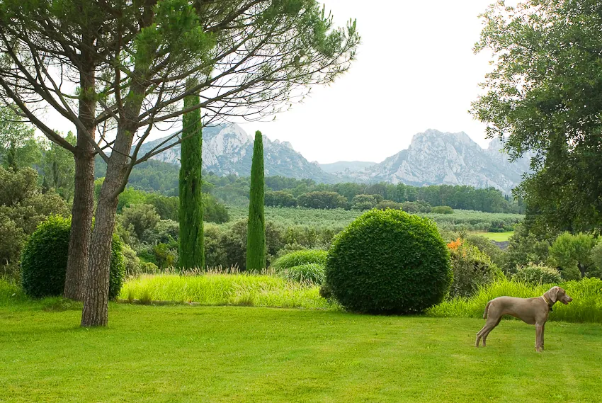 Garden landscape showing the shade of trees and warm air of Provence