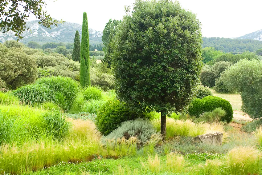Garden in Provence with sunlight flickering through trees and water in ancient pools