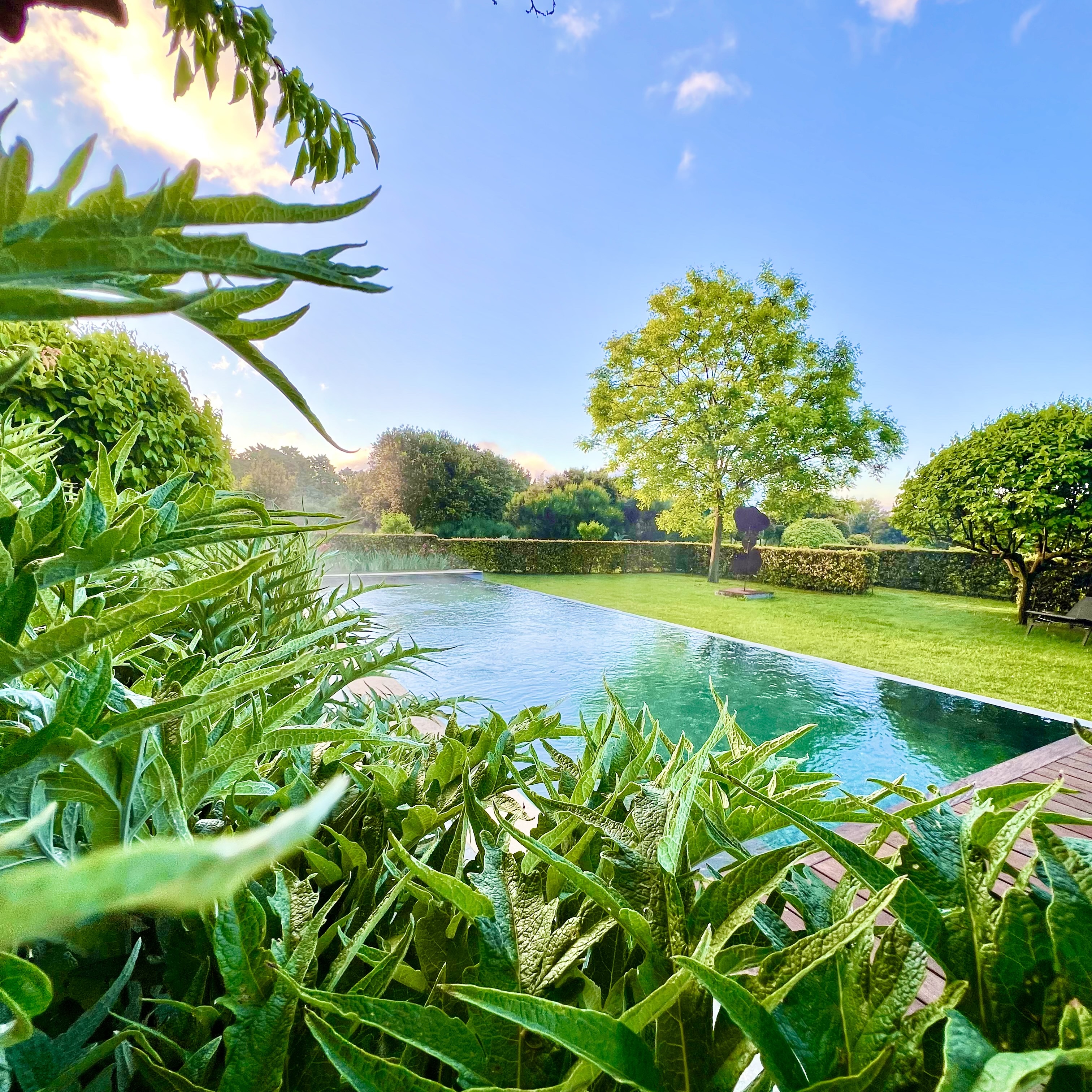Morning pool