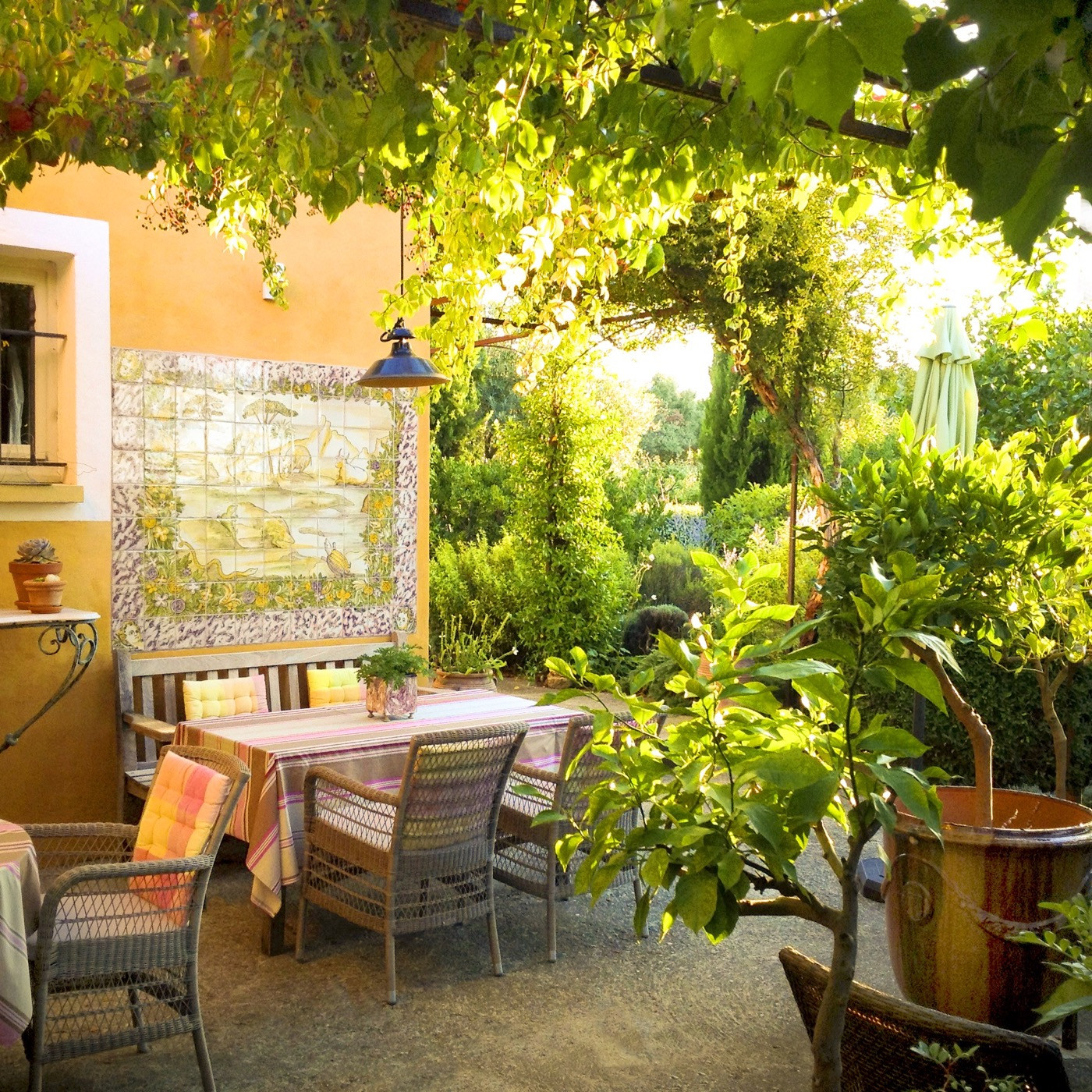Le Pavillon de Galon - Your terrace for breakfast under the vines and between lemon trees