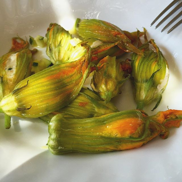 The stuffed courgettes flowers
